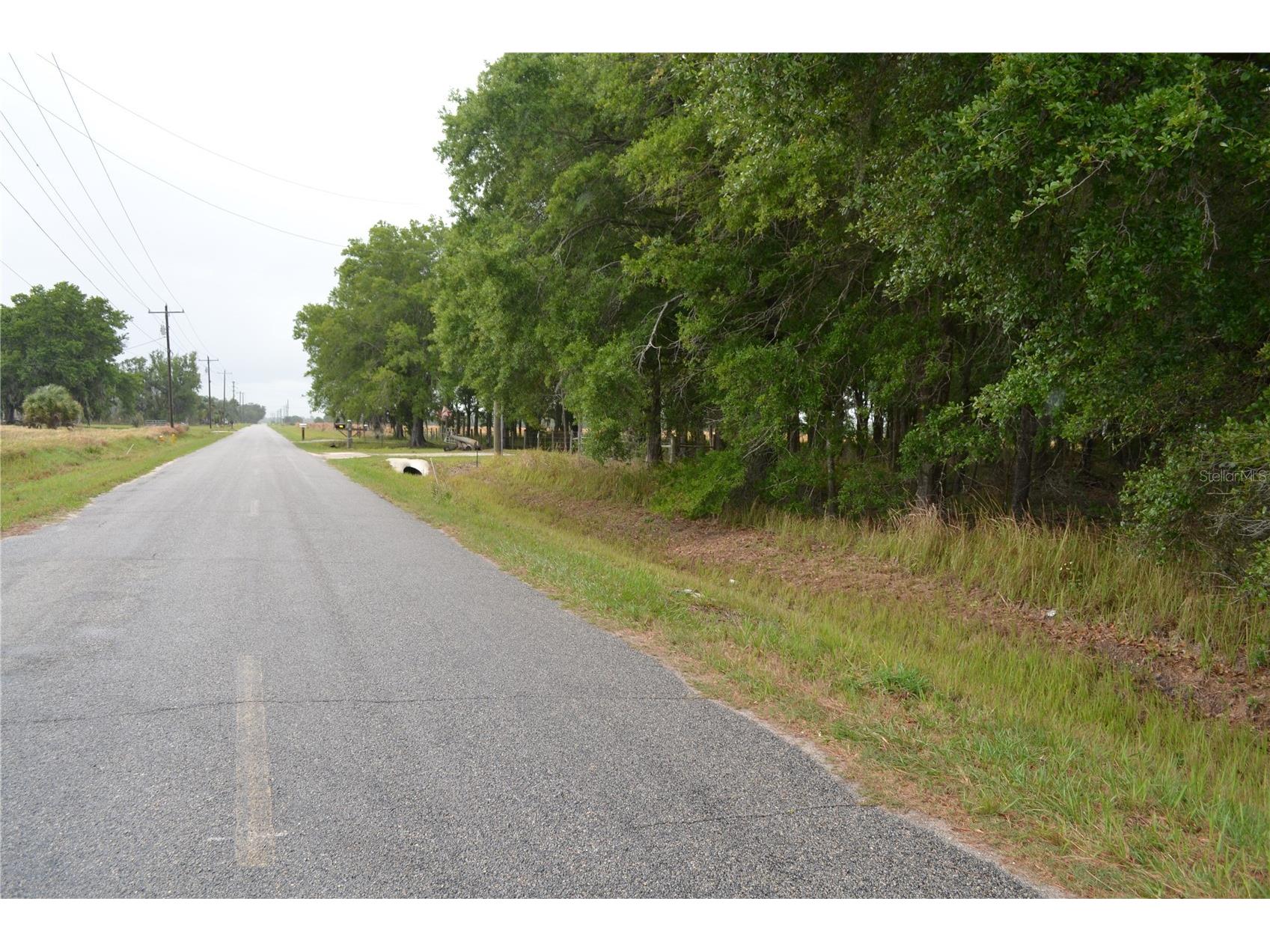 Bostick Road Bowling Green FL 33834 N6143859 image4