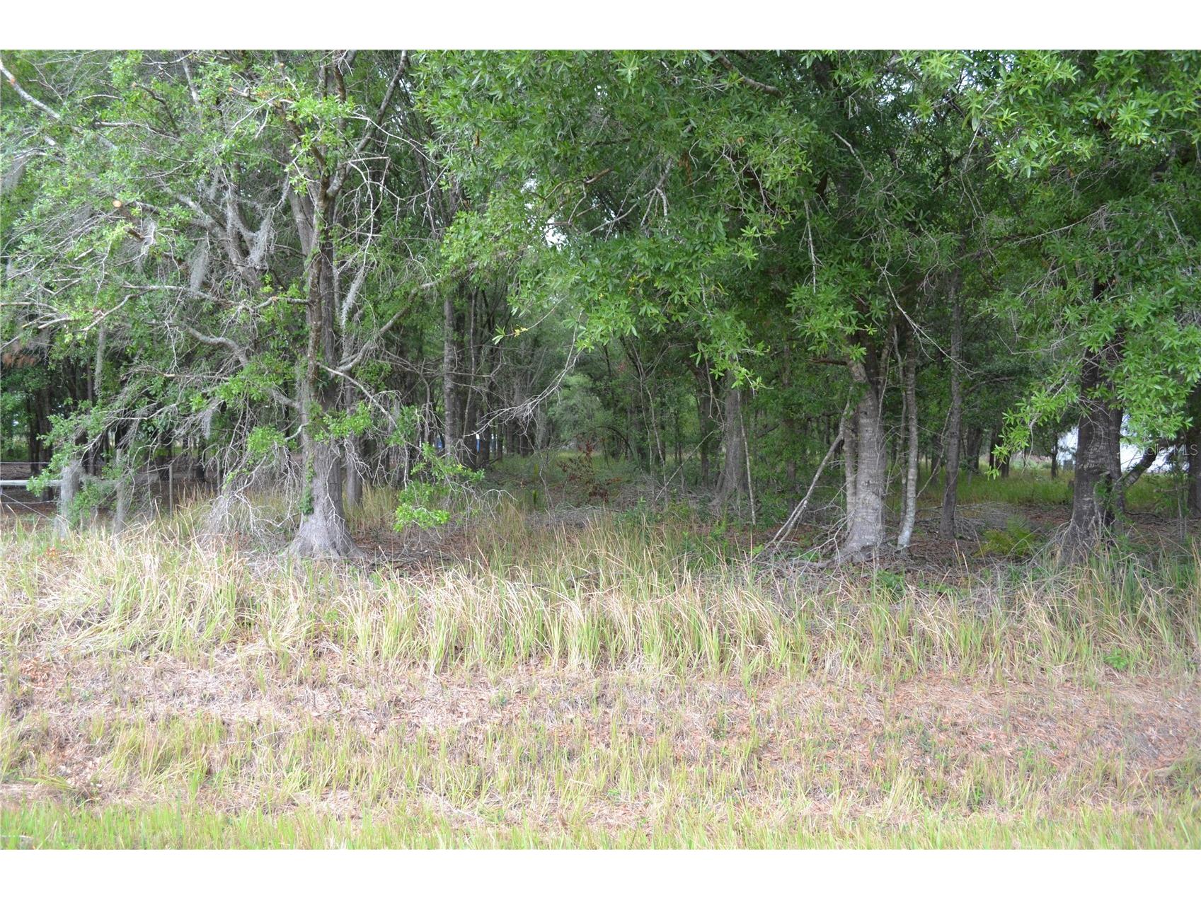 Bostick Road Bowling Green FL 33834 N6143859 image5
