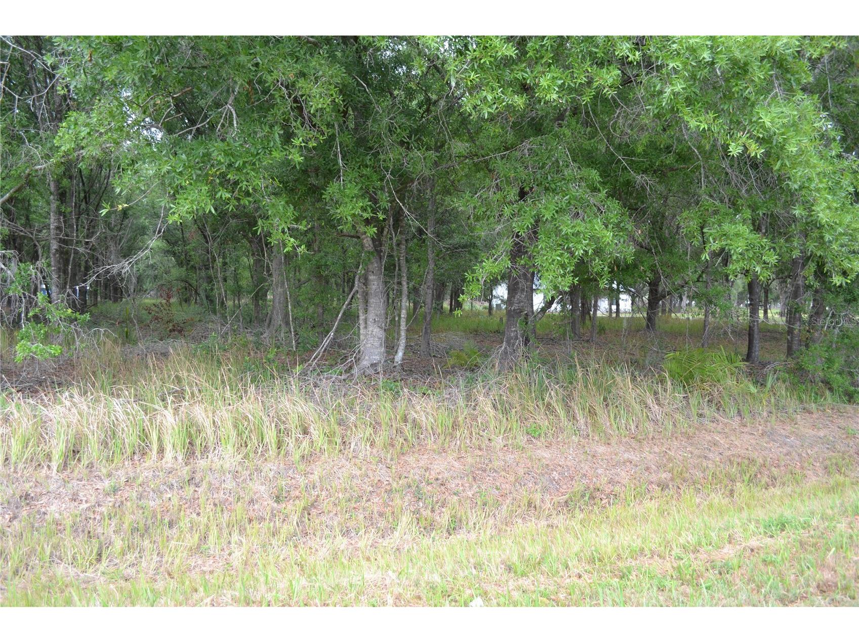 Bostick Road Bowling Green FL 33834 N6143859 image6