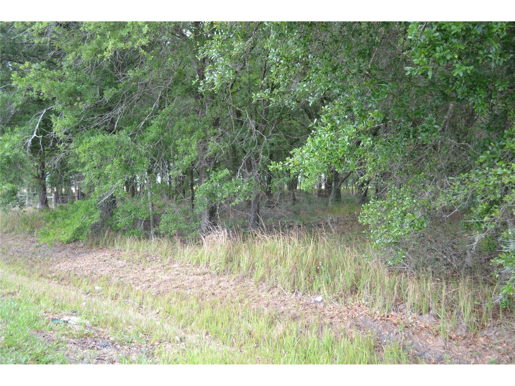 Bostick Road Bowling Green FL 33834 N6143859 image7