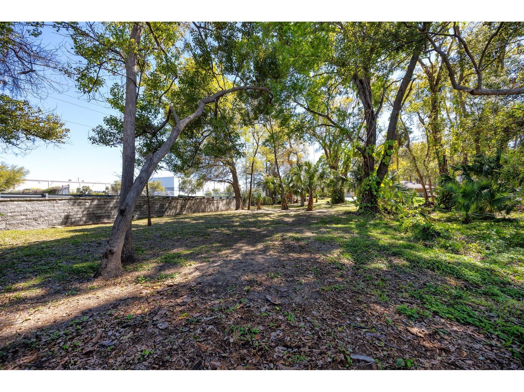 Boston Street Tarpon Springs FL 34689 TB8362791 image10