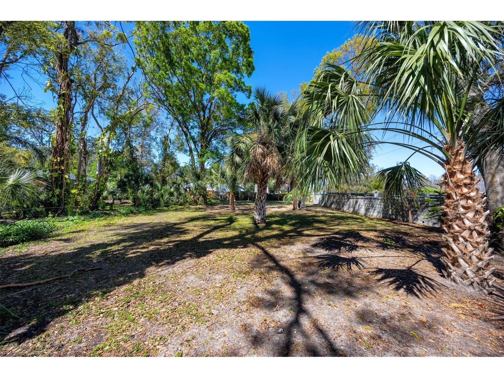 Boston Street Tarpon Springs FL 34689 TB8362791 image12