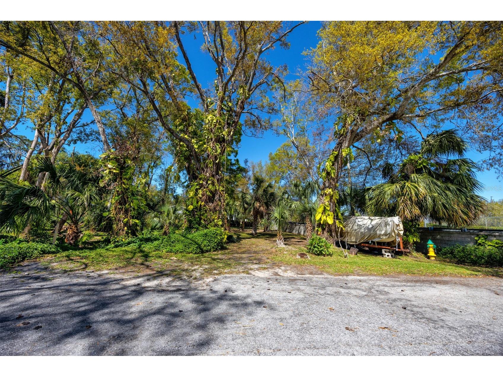 Boston Street Tarpon Springs FL 34689 TB8362791 image13