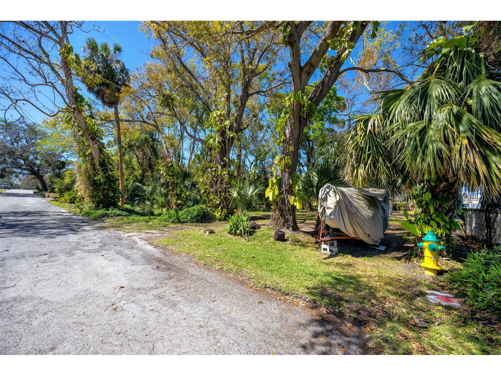 Boston Street Tarpon Springs FL 34689 TB8362791 image14