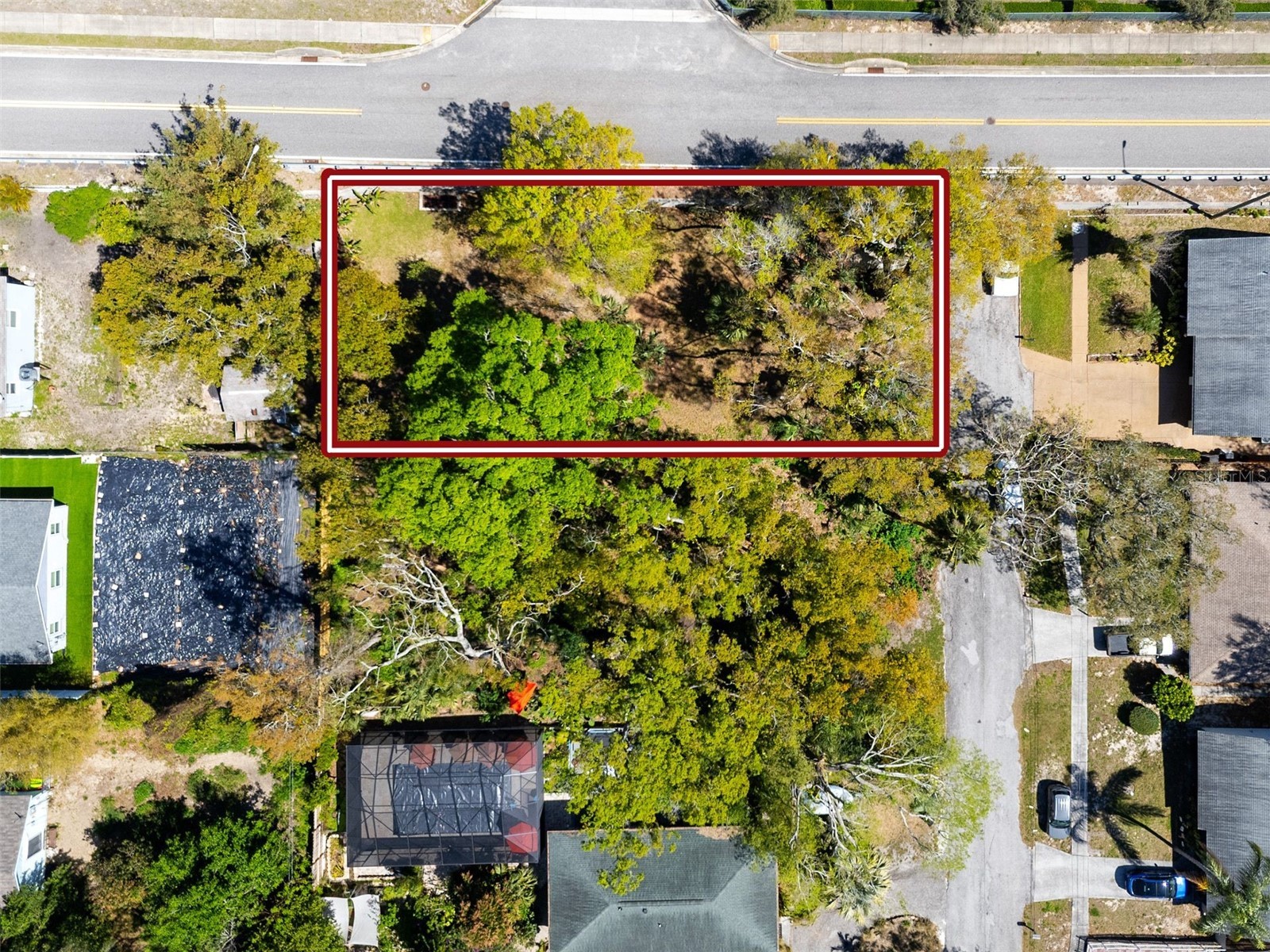 Boston Street Tarpon Springs FL 34689 TB8362791 image7