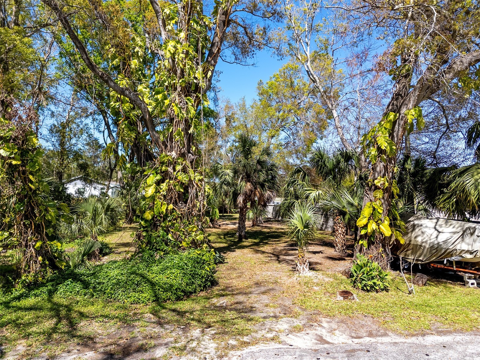 Boston Street Tarpon Springs FL 34689 TB8362791 image8