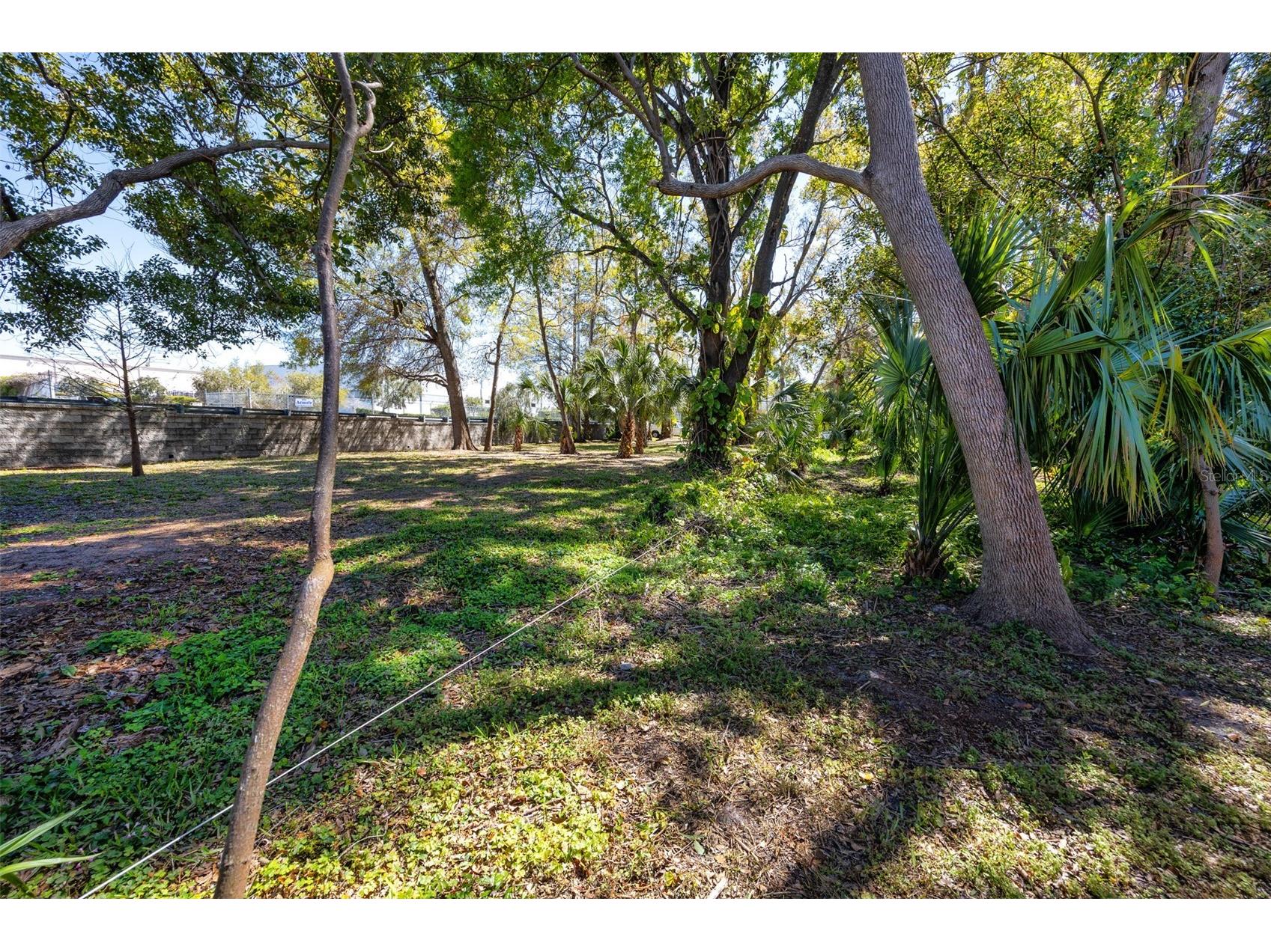 Boston Street Tarpon Springs FL 34689 TB8362791 image9