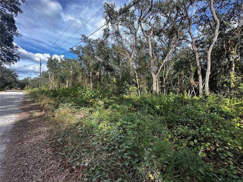 Bounty Street New Port Richey FL 34654 W7869574 image1