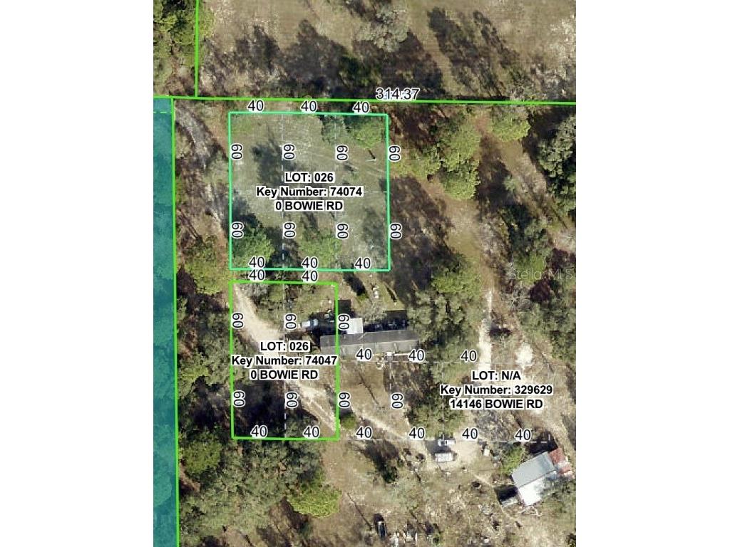 Bowie Road Brooksville FL 34614 W7879476 image1