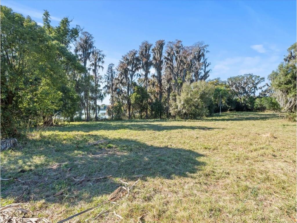 Boy Scout Road Odessa FL 33556 - LAKE CHURCH + LAKE ECHO T3495933 image10