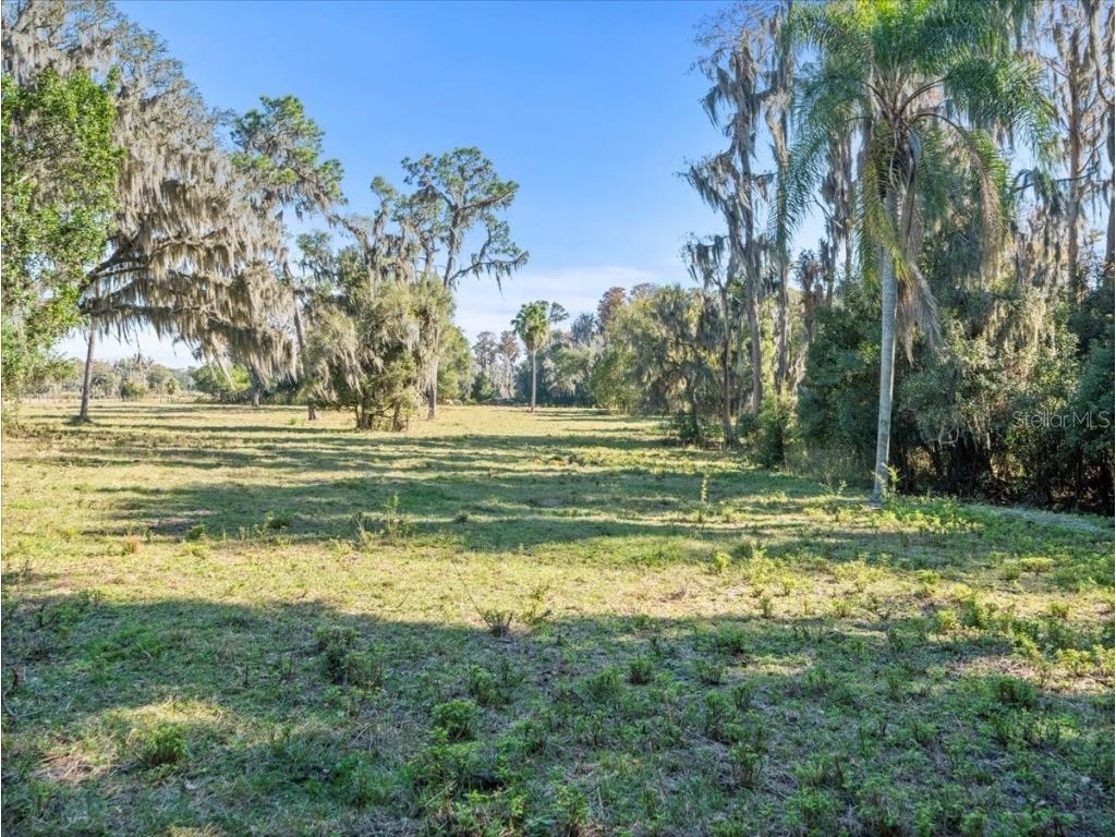 Boy Scout Road Odessa FL 33556 - LAKE CHURCH + LAKE ECHO T3495933 image11