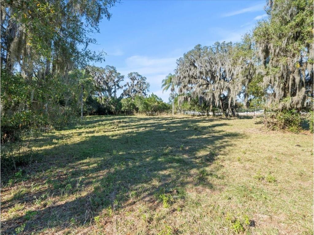 Boy Scout Road Odessa FL 33556 - LAKE CHURCH + LAKE ECHO T3495933 image12