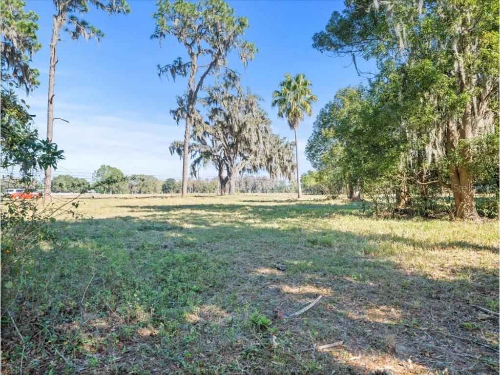 Boy Scout Road Odessa FL 33556 - LAKE CHURCH + LAKE ECHO T3495933 image13