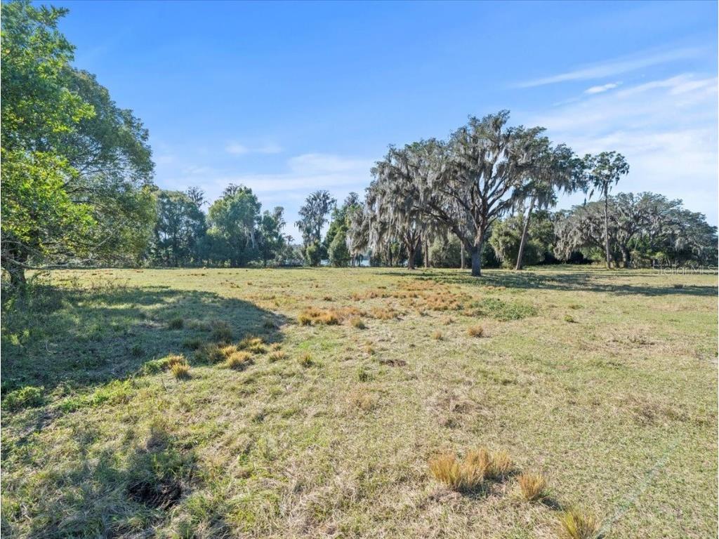 Boy Scout Road Odessa FL 33556 - LAKE CHURCH + LAKE ECHO T3495933 image14