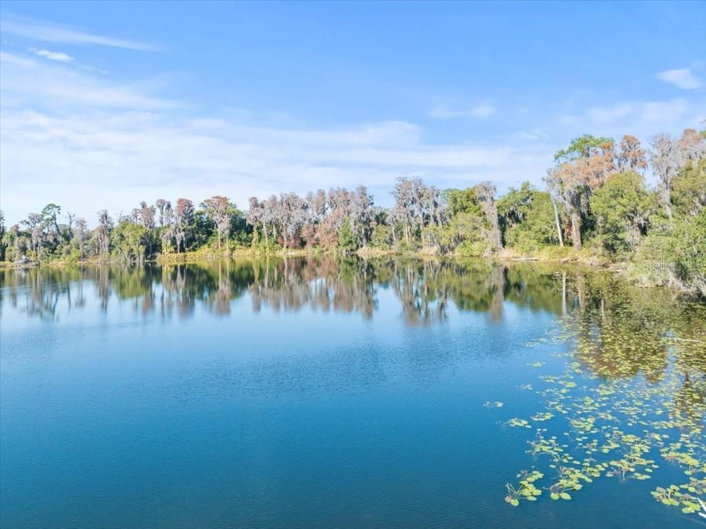 Boy Scout Road Odessa FL 33556 - LAKE CHURCH + LAKE ECHO T3495933 image16