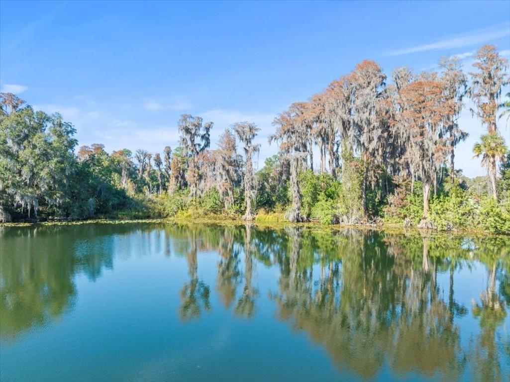 Boy Scout Road Odessa FL 33556 - LAKE CHURCH + LAKE ECHO T3495933 image17