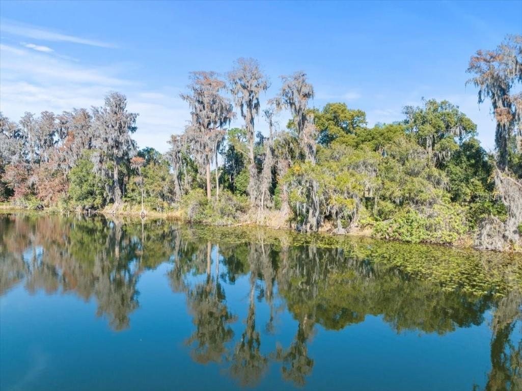 Boy Scout Road Odessa FL 33556 - LAKE CHURCH + LAKE ECHO T3495933 image4