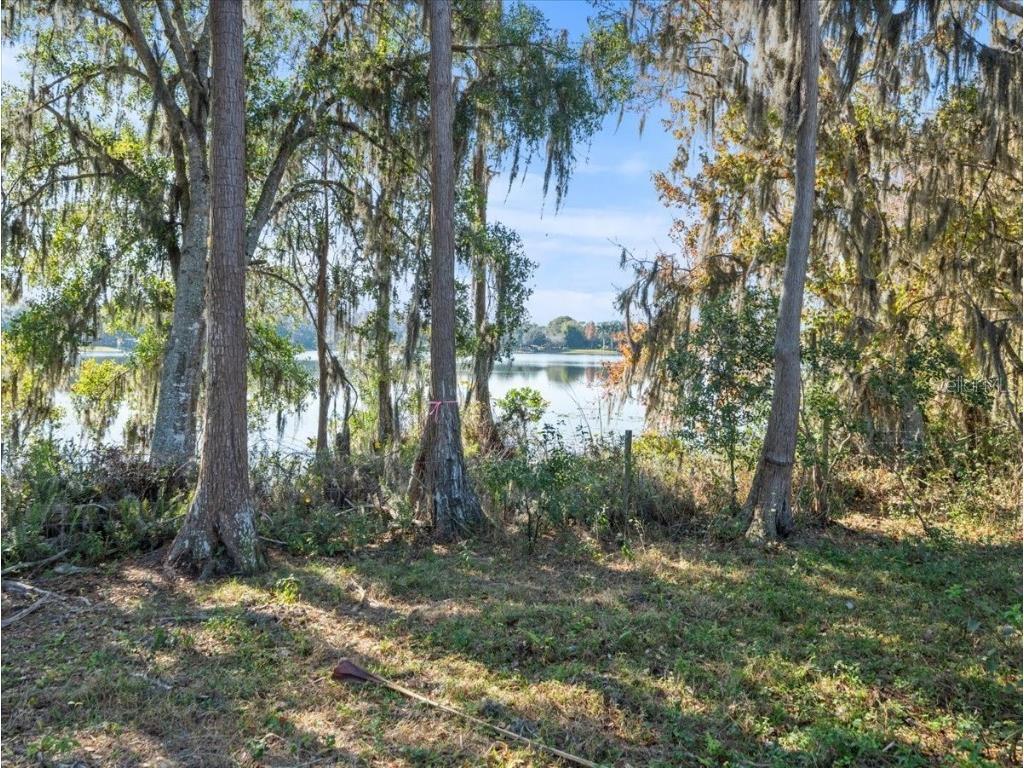 Boy Scout Road Odessa FL 33556 - LAKE CHURCH + LAKE ECHO T3495933 image5