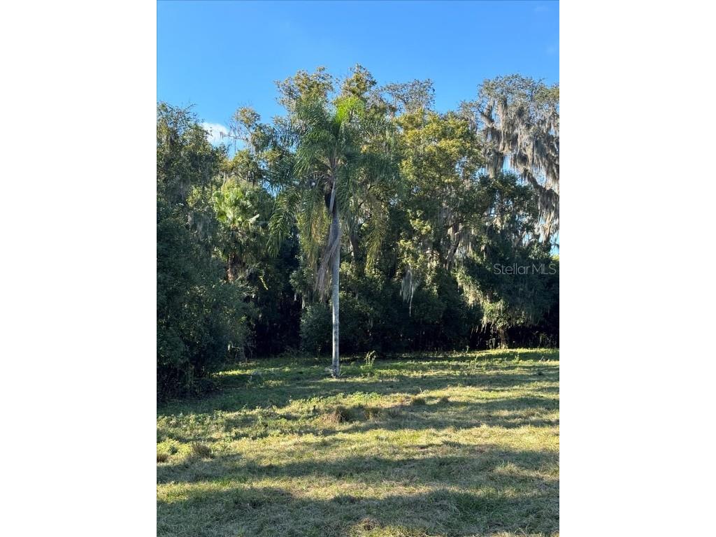 Boy Scout Road Odessa FL 33556 - LAKE CHURCH + LAKE ECHO T3495933 image7