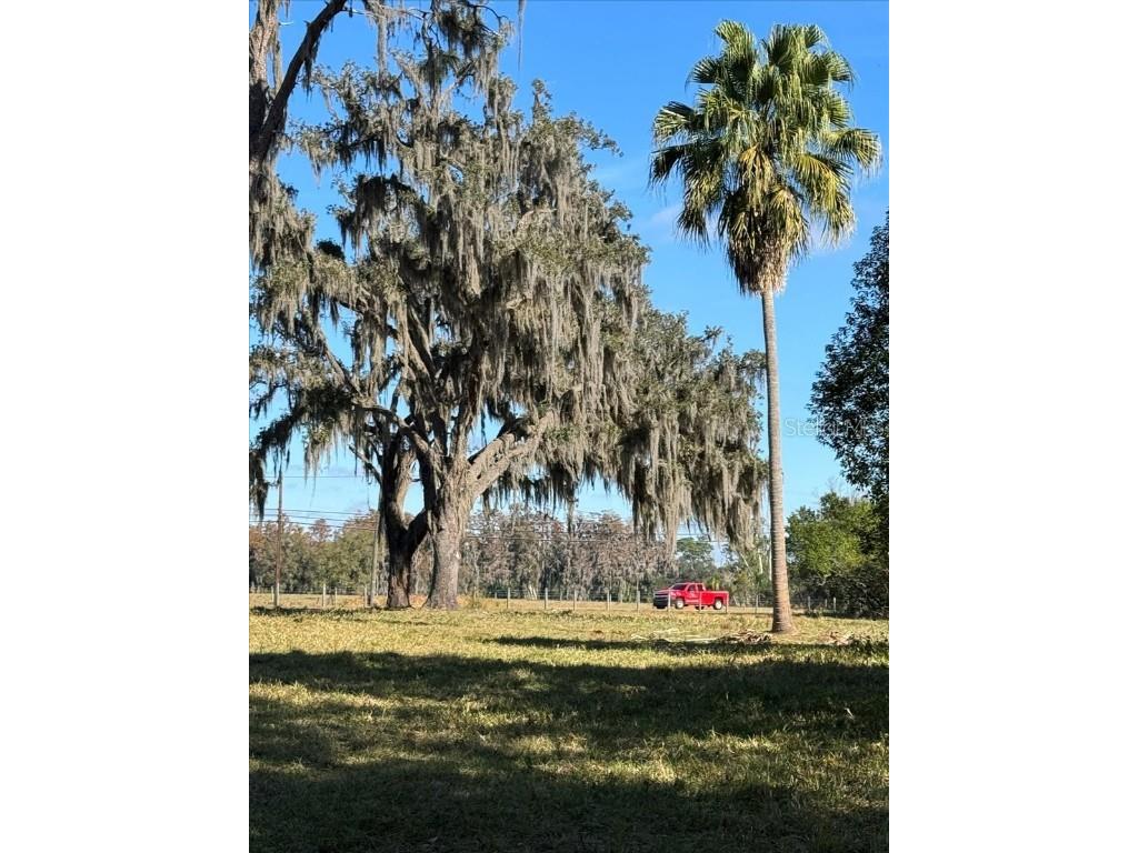 Boy Scout Road Odessa FL 33556 - LAKE CHURCH + LAKE ECHO T3495933 image8