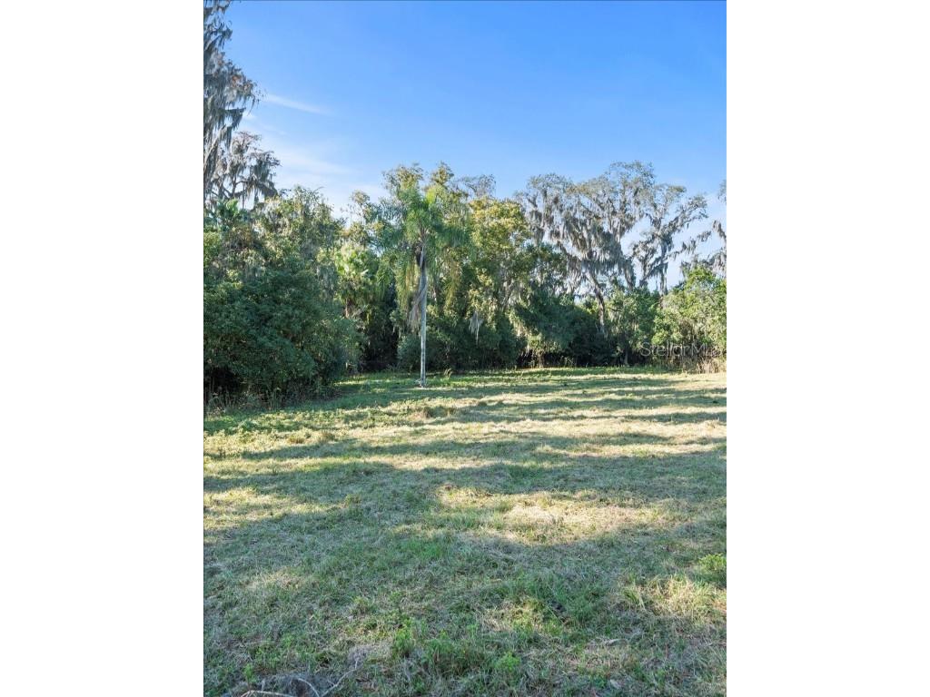 Boy Scout Road Odessa FL 33556 - LAKE CHURCH + LAKE ECHO T3495933 image9