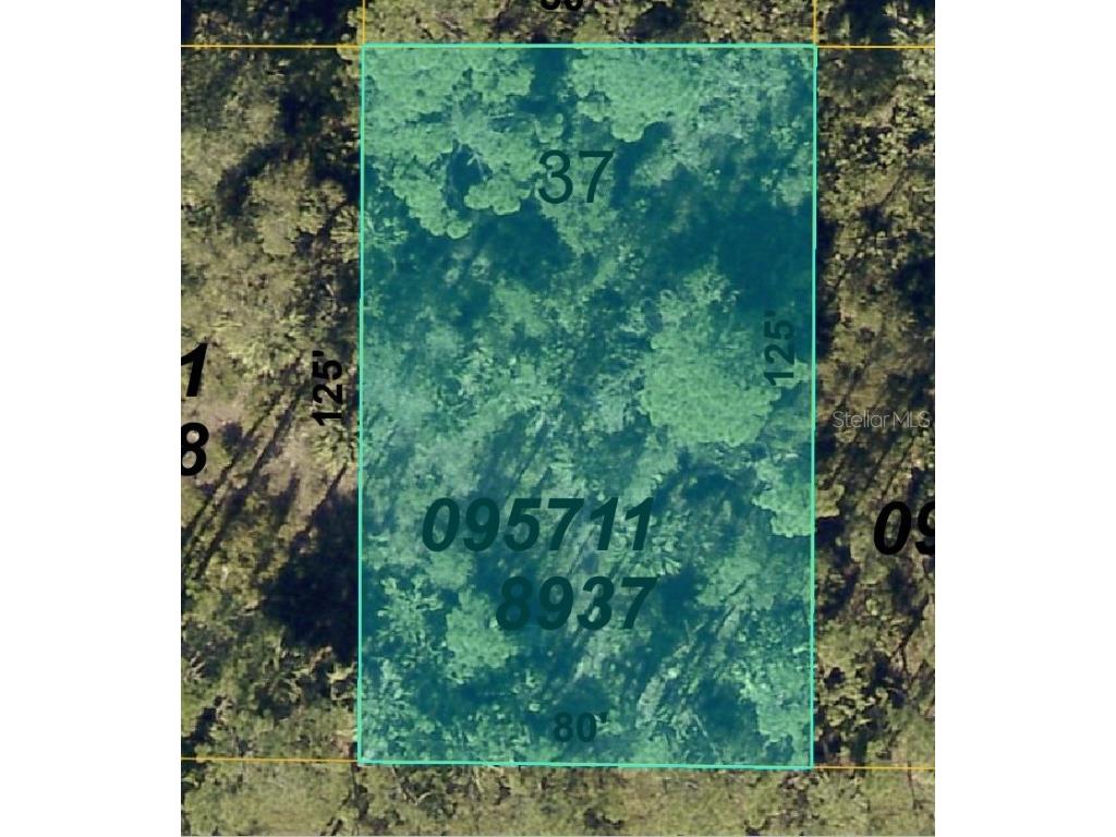 Boyd Avenue North Port FL 34286 N6139728 image1