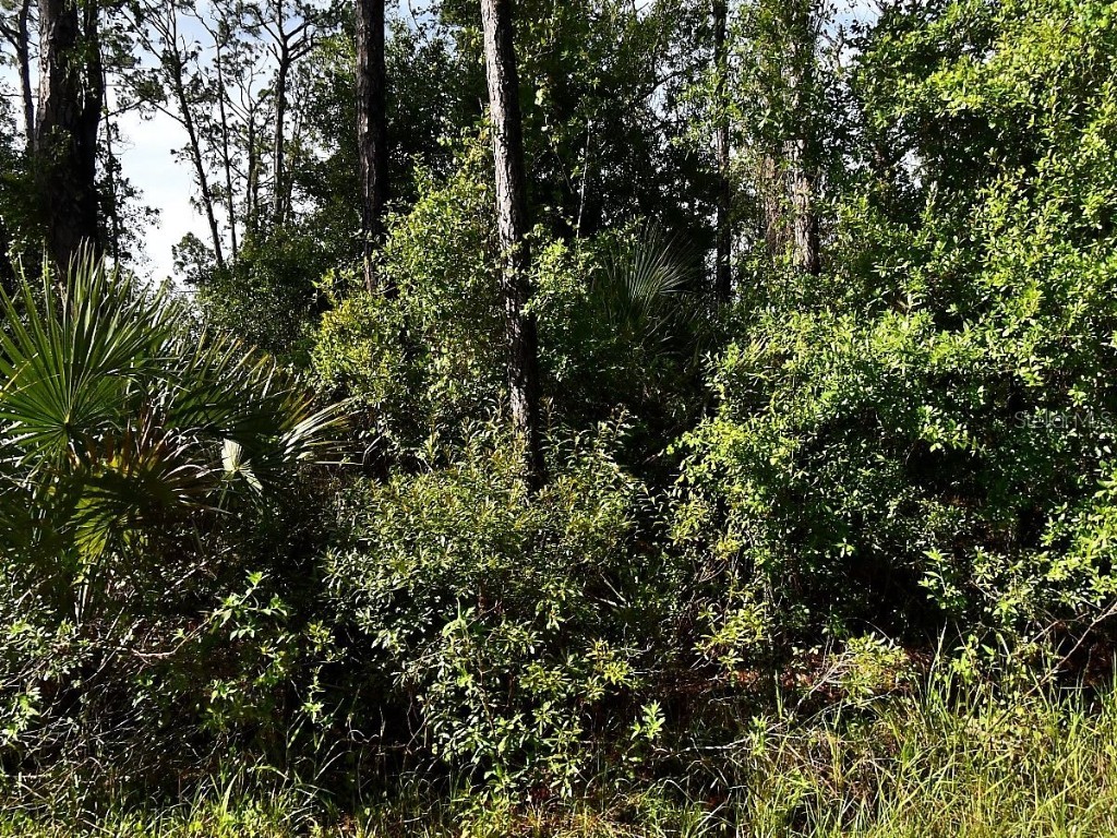 Boyd Avenue North Port FL 34286 O6330439 image2