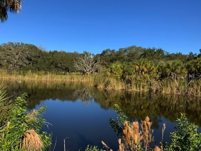 Boyd Lane Terra Ceia Island FL 34250 A4617024 image5