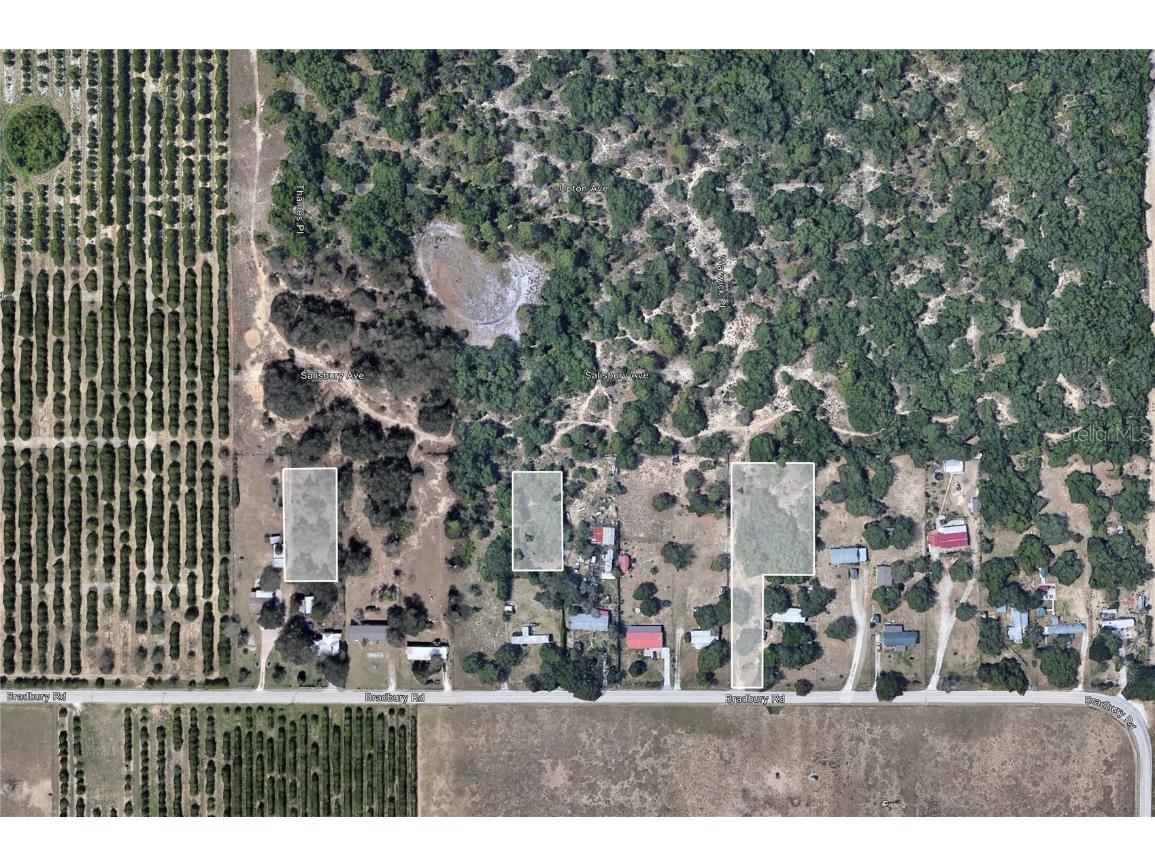 Bradbury Road Haines City FL 33844 P4929060 image1