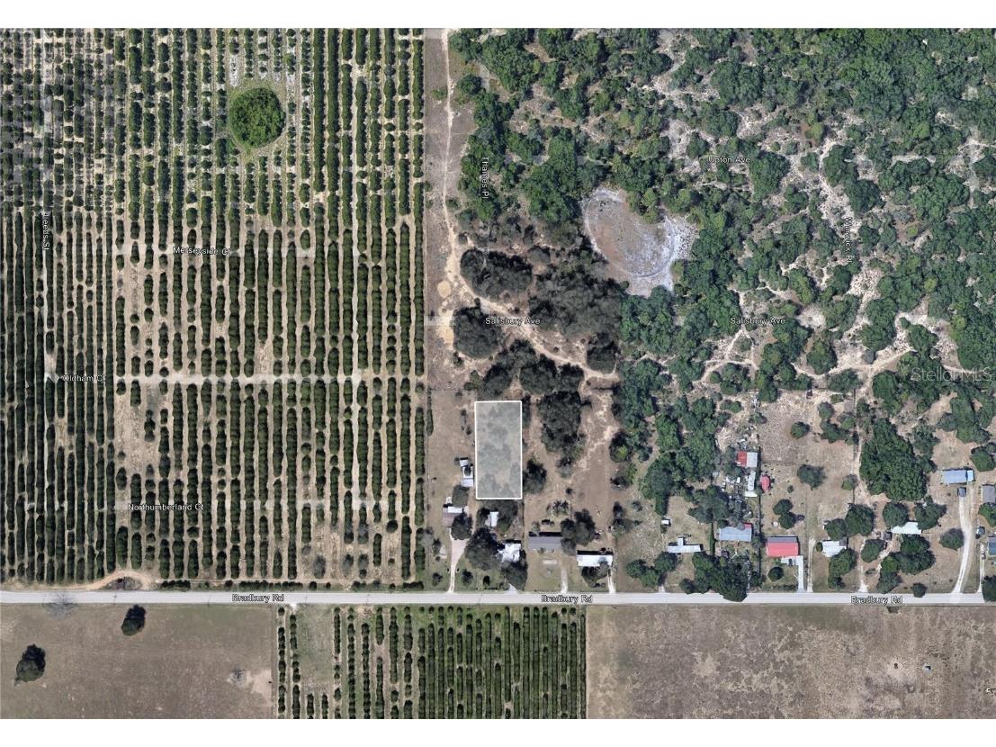 Bradbury Road Haines City FL 33844 P4929060 image2