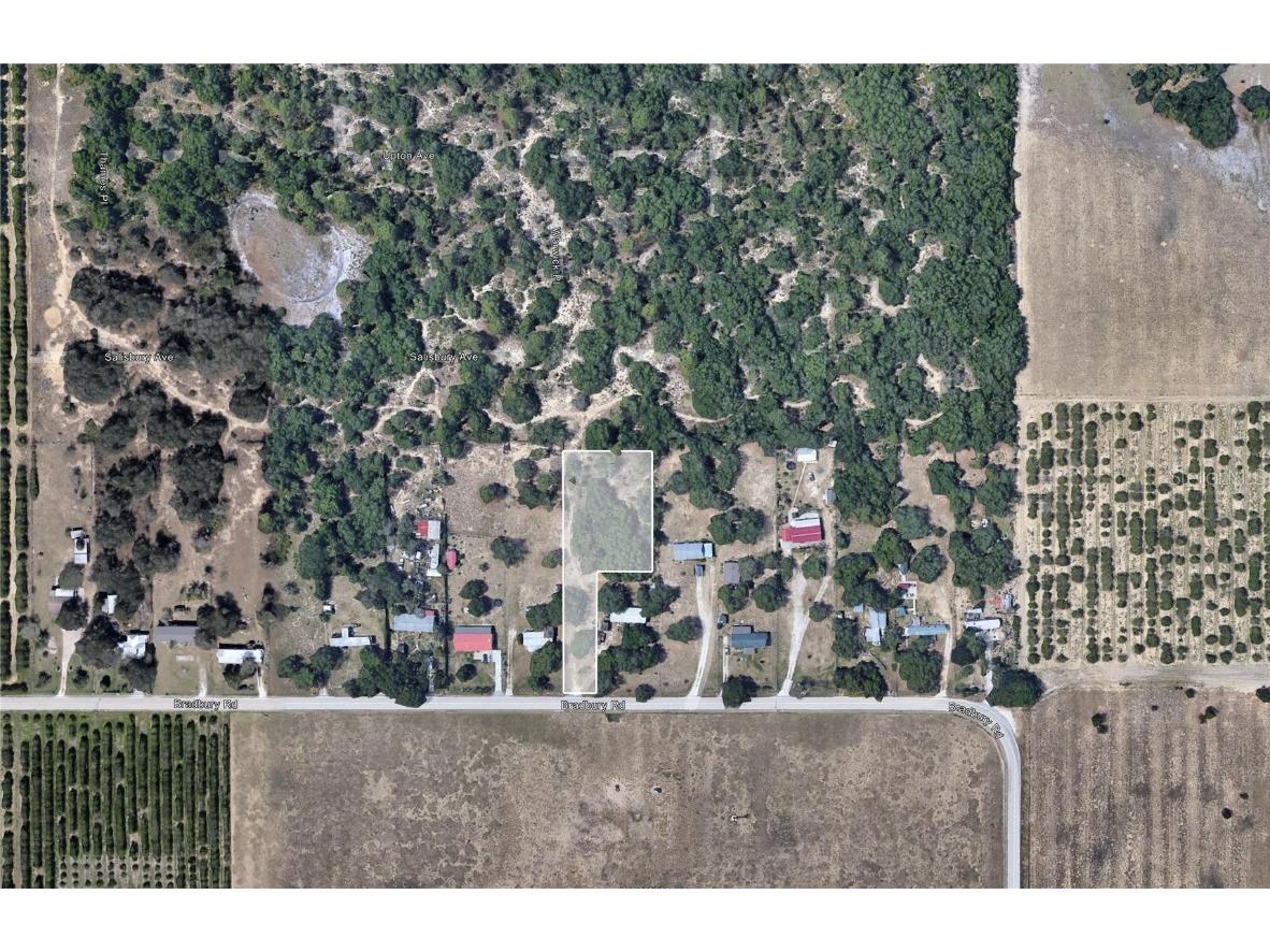 Bradbury Road Haines City FL 33844 P4929060 image3