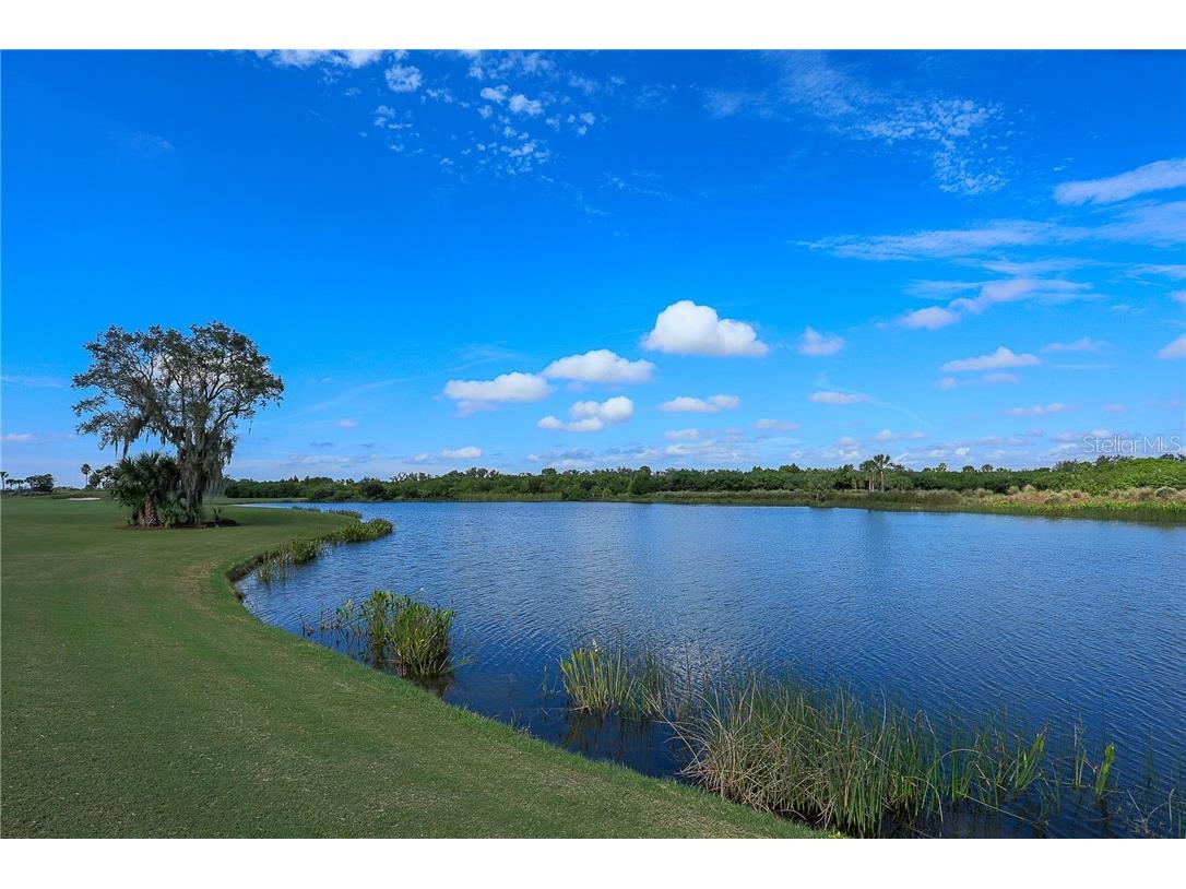  Bradenton FL 34212 A4420079 image24