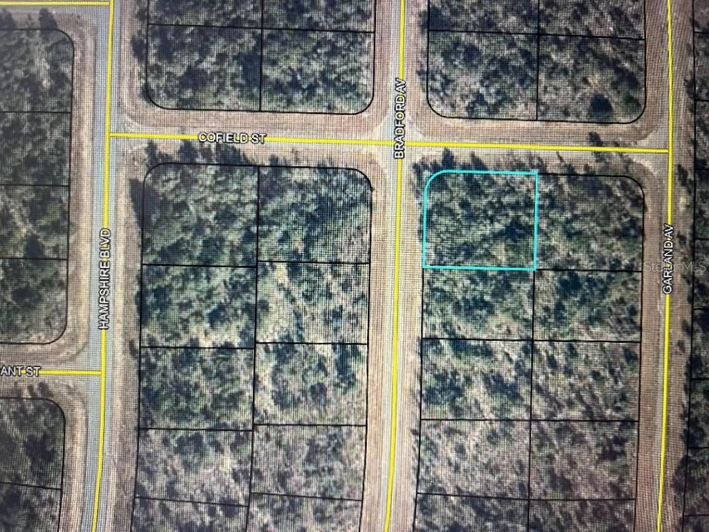 Bradford Avenue Chipley FL 32428 OM651754 image1