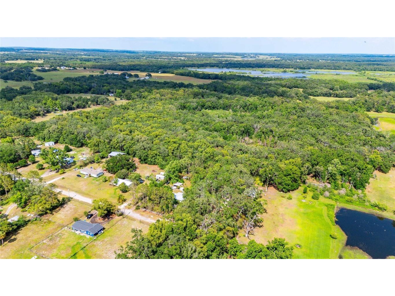 Bradley Drive Dade City FL 33525 TB8391724 image14