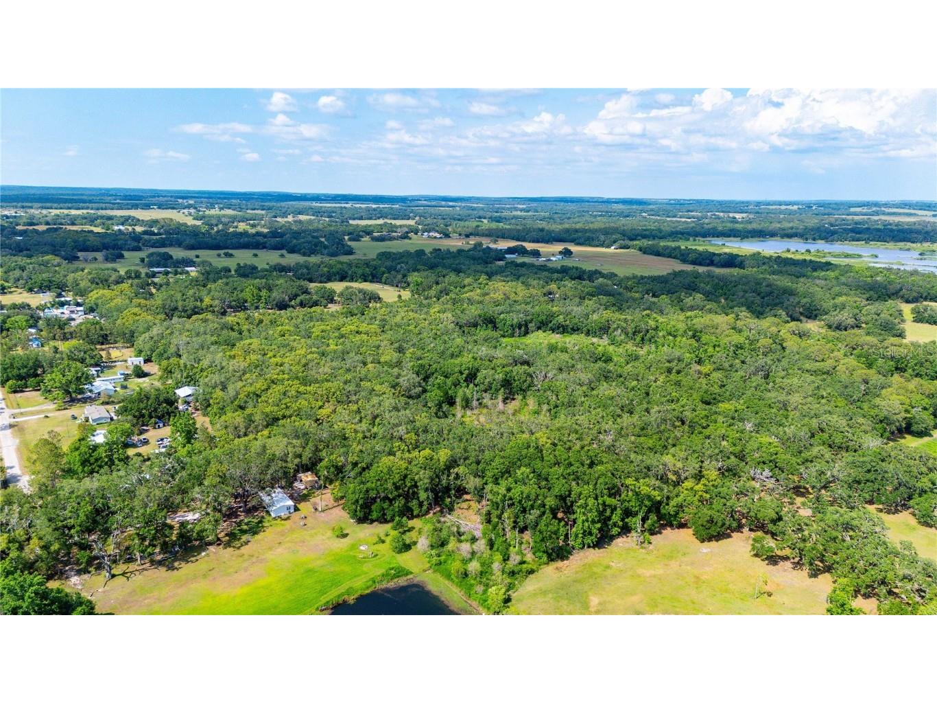 Bradley Drive Dade City FL 33525 TB8391724 image15