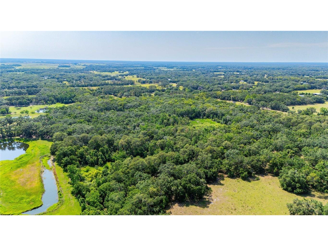 Bradley Drive Dade City FL 33525 TB8391724 image19