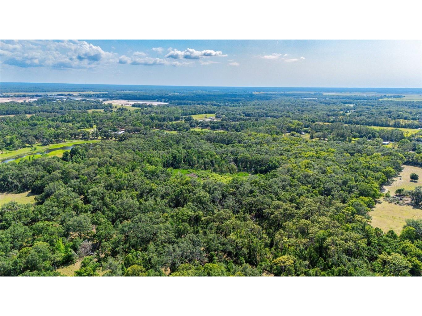 Bradley Drive Dade City FL 33525 TB8391724 image21