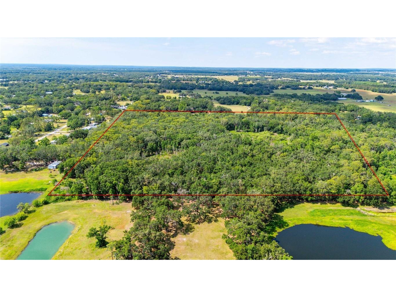 Bradley Drive Dade City FL 33525 TB8391724 image5