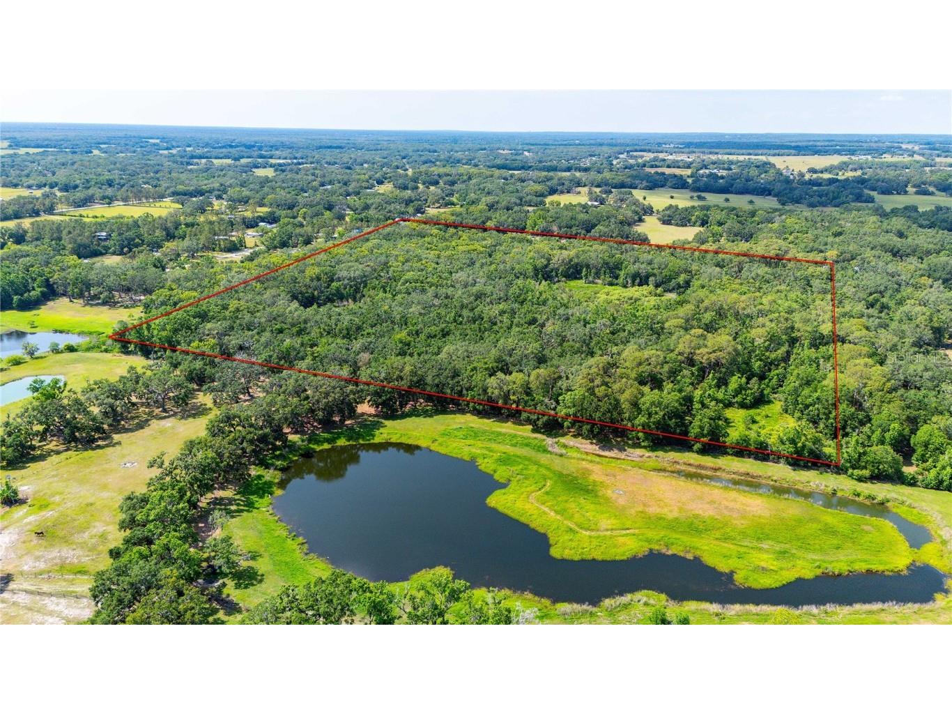 Bradley Drive Dade City FL 33525 TB8391724 image6