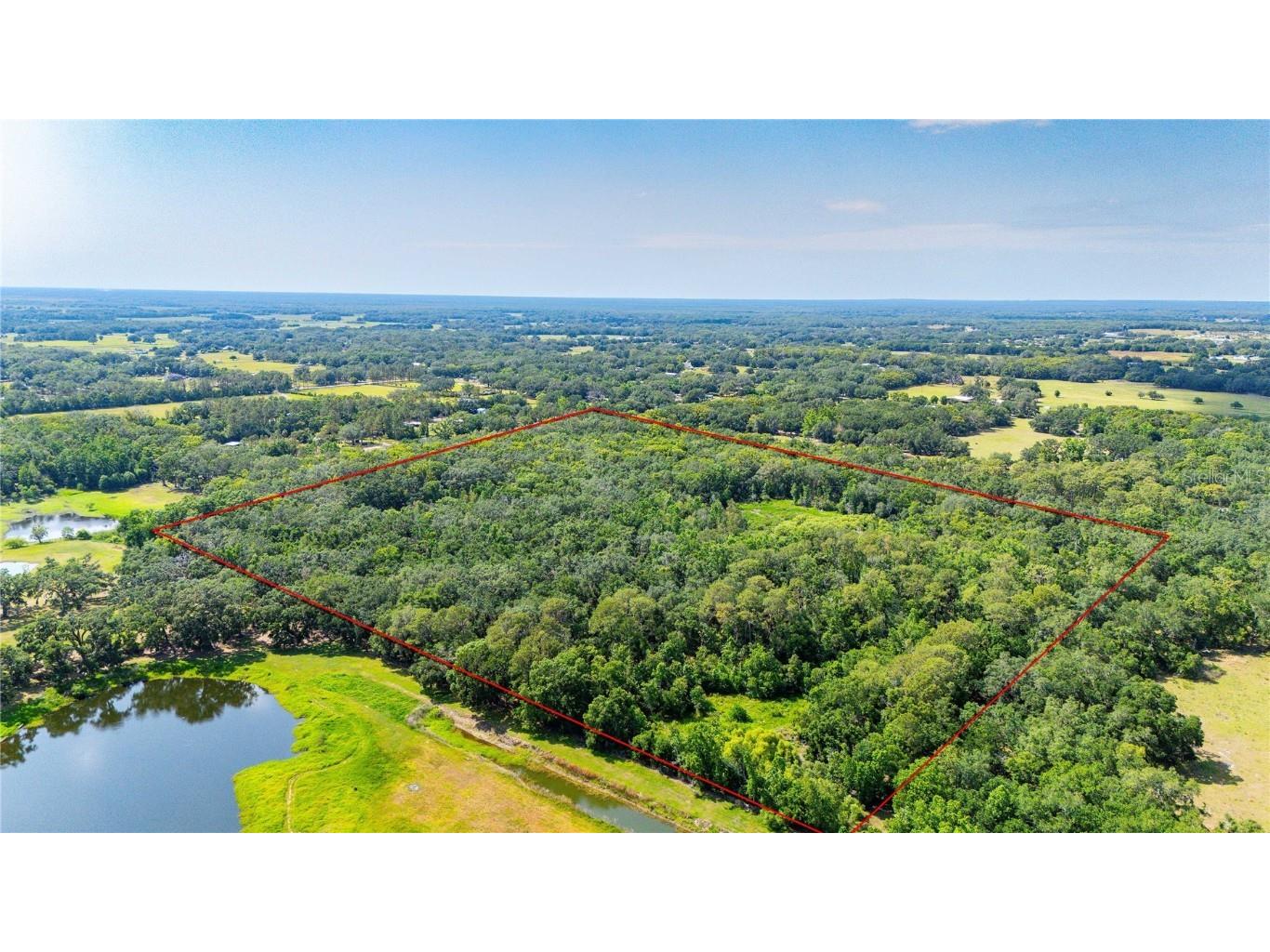 Bradley Drive Dade City FL 33525 TB8391724 image7