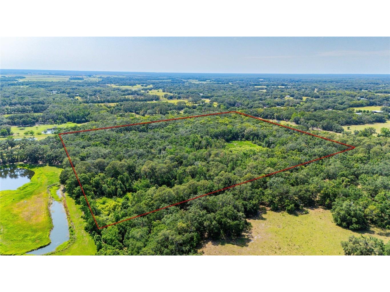 Bradley Drive Dade City FL 33525 TB8391724 image8