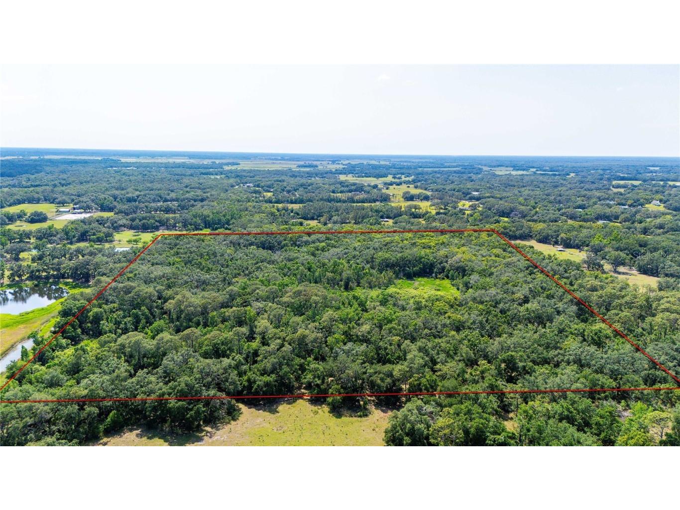 Bradley Drive Dade City FL 33525 TB8391724 image9