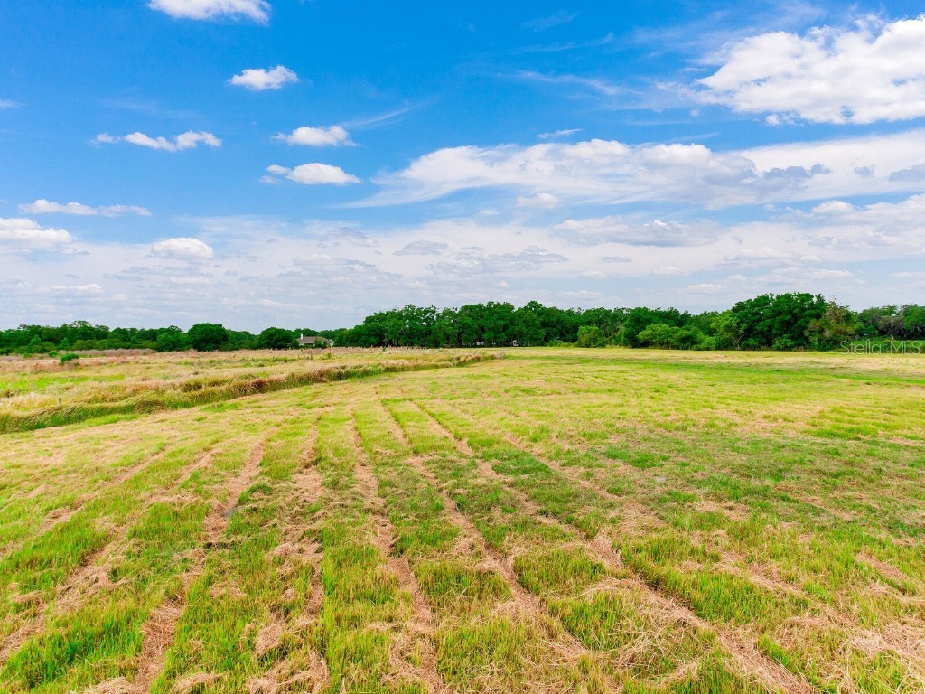 Branding Iron Trail Plant City FL 33565 T3531696 image1