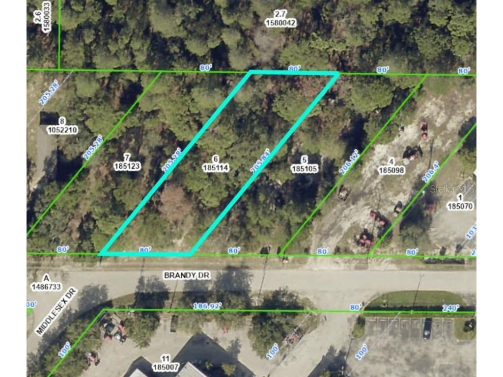 Brandy Drive Spring Hill FL 34607 W7859316 image1