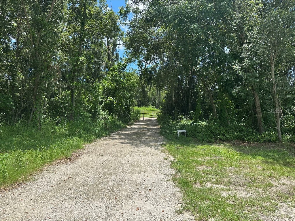 Brannen Road W Lakeland FL 33813 TB8399173 image8