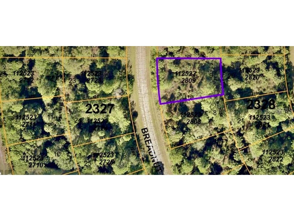 Breadnut Street North Port FL 34288 TB8408952 image2