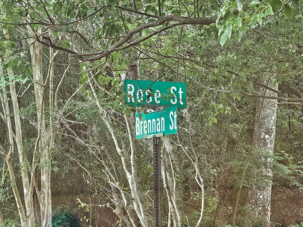 Brennan Street Brooksville FL 34601 W7876089 image1