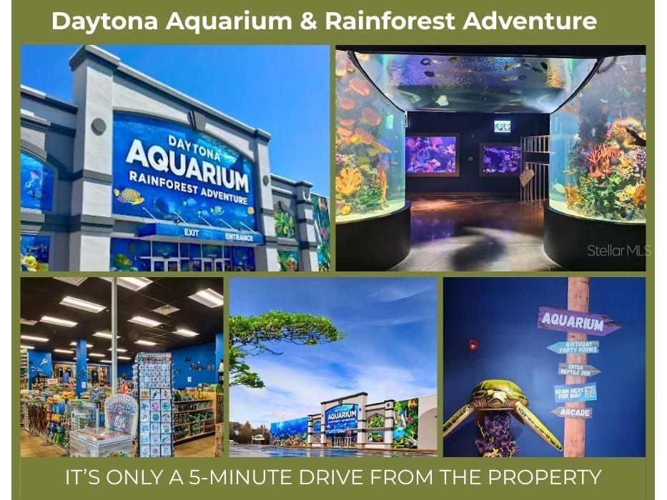 Brentwood Drive Daytona Beach FL 32117 TB8507349 image5