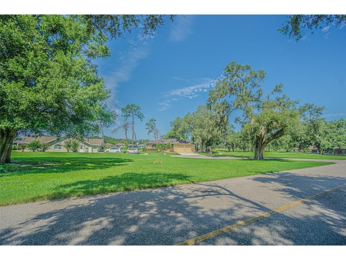 Brentwood Drive Zephyrhills FL 33542 TB8419841 image2