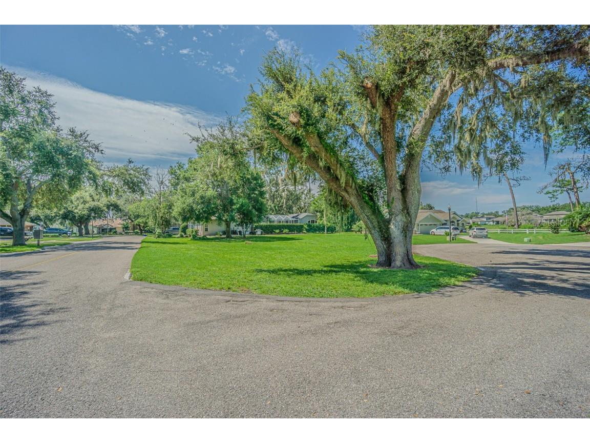 Brentwood Drive Zephyrhills FL 33542 TB8419841 image23